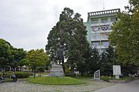 Chaskovo: kapitán Petko vojvoda, bulvár San Stefano, 9.8.2019 Chaskovo