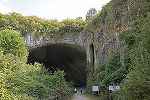 Devetaki