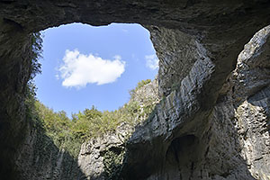Devetaki