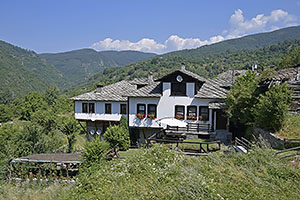 Kovacevica