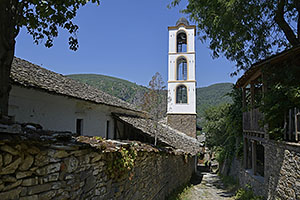 Kovacevica