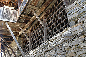 Kovacevica
