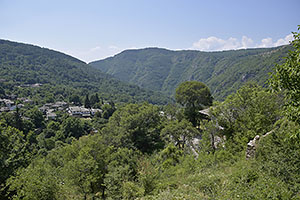 Kovacevica
