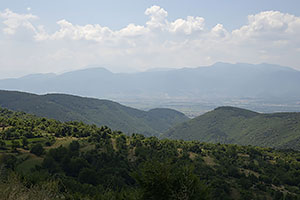 Kovacevica