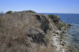 Nesebar