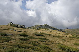 Bulharsko, Sofia
