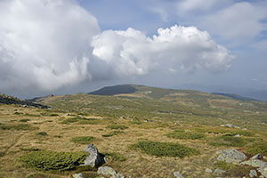 Bulharsko, Sofia