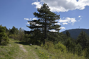 Sarajevo: Vidikovac, 28.4.2024 Sarajevo