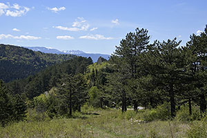 Sarajevo: Vidikovac, 28.4.2024 Sarajevo