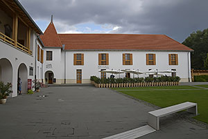 Borsa