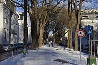 Bratislava: cyklocesta Trenčianska, 15.1.2017 Bratislava