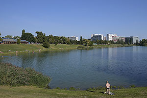 Kuchajda