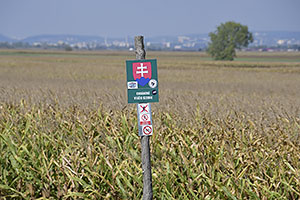 Bratislava