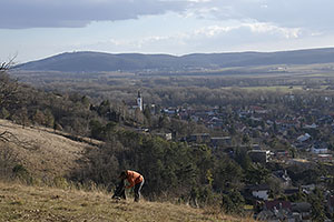 Bratislava