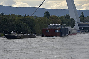 Bratislava: vysoký Dunaj, 17.9.2024 Bratislava