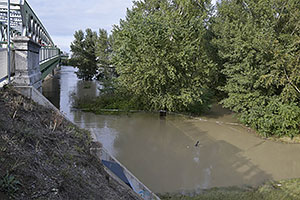 Bratislava: vysoký Dunaj, 17.9.2024 Bratislava