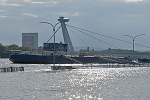 Bratislava: vysoký Dunaj, 17.9.2024 Bratislava