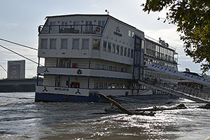 Bratislava: vysoký Dunaj, 17.9.2024 Bratislava