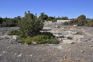 Akrotiri