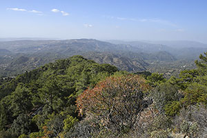 Cyprus