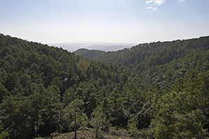 Cyprus