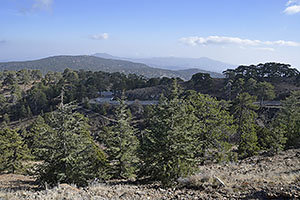 Cyprus