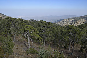 Cyprus