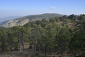Cyprus