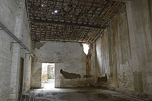 Lemesós, Limassol: Genethliou Mitella, 19.11.2023 Lemesós, Limassol