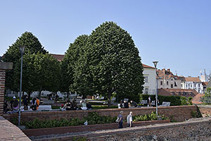Brno