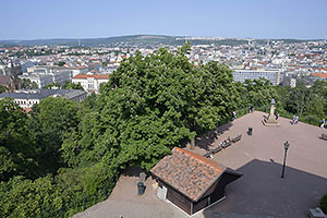 Brno