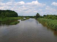 Nové Mlýny: rieka Jihlava, 6.7.2013 Hustopece