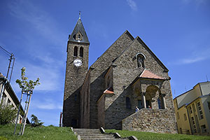 Zajeci