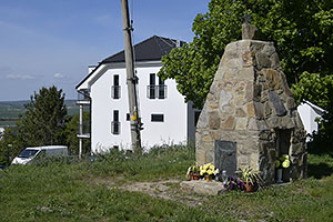 Zajeci