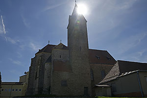 Zajeci