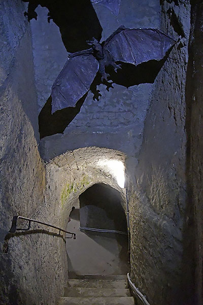 Znojmo: Znojemské podzemí, 27.3.2022 Znojmo