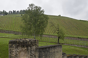 Trier: Amphitheater, 12.5.2023 Trier