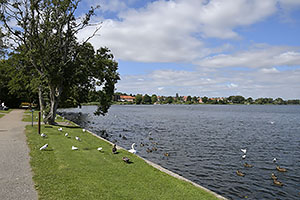 Viborg