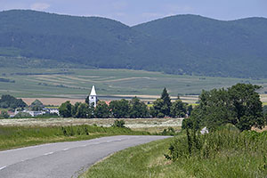 Dlha