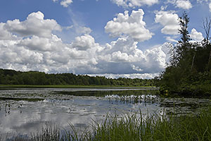 Narva: rieka Narva, 15.7.2022 Narva