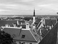 Tallinn: pohľad z Horného mesta (Toompea) na vežu radnice, 2.8.2013 Tallinn