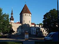 Tallinn: Kuldjala torn - Veža zlatá noha, 2.8.2013 Tallinn