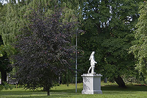 Tallinn: Kadriorg, Kadrioru park, 16.7.2022 Tallinn