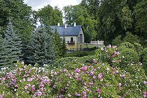 Tallinn: Kadriorg, Kadrioru park, Roosimägi, 16.7.2022 Tallinn