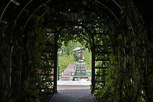 Tallinn: Kadriorg, Kadrioru park, 16.7.2022 Tallinn