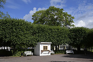 Tallinn: Kadriorg, Kadrioru park, Luigetiigi, 16.7.2022 Tallinn
