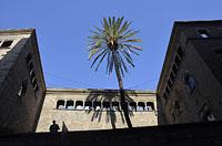 Barcelona: Carrer de Santa Llúcia, 12.3.2016 Barcelona