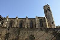Barcelona: Catedral de la Santa Creu i Santa Eulalia, 12.3.2016 Barcelona