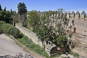 Córdoba: Muralla de la Huerta del Alcázar y San Basilio - Lienzo Sur, Avenida del Alcázar, 17.4.2023 Córdoba