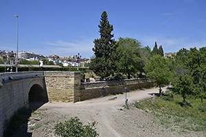 Córdoba: Avenida del Alcázar, 17.4.2023 Córdoba